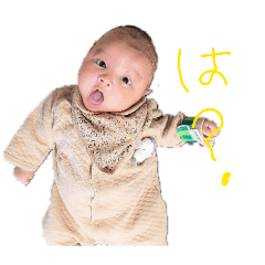 hazu_20260227165847