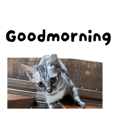 zou_20260227171449