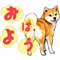 birdrun_20260227202855