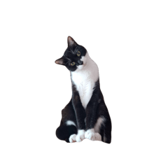 What a fun adventure!