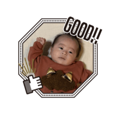 shimeji_20260227173414