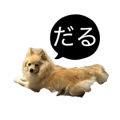 c_20260228002935