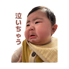 kana_20260228003702