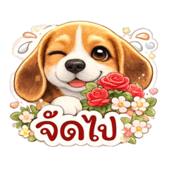 Jinnee is a Beagle.