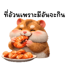 Thidarat_20260227185108