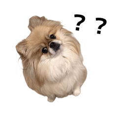 RINAKO_20260227234232