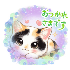 yunomi_20260228093157