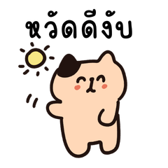 แมวบราวนี่ตัวน้อย