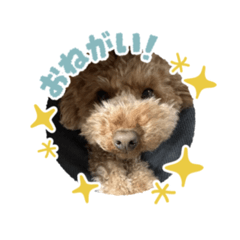 makoto_20260227220058