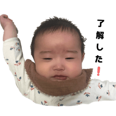 momo_20260227221752
