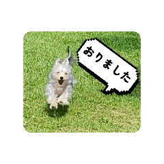YUKA_20260228120311