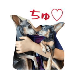 mimii_20260227233834