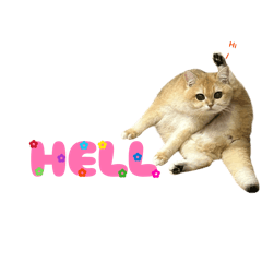 Chanom_20260228001537