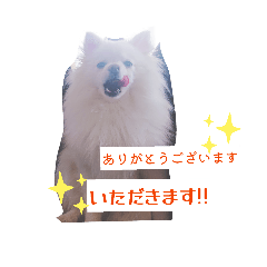 mipimama_20260228044254