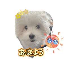 haruo_20260228135237