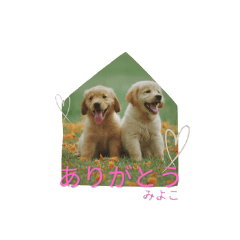 miyoko_20260225095603