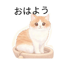 mitukage_20260228075304