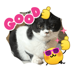 Baumkuchen_20260228094742