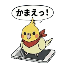 Sassy Cockatiel - Daily Chats