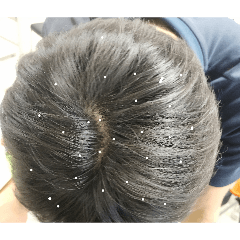 yyu_20260225162456