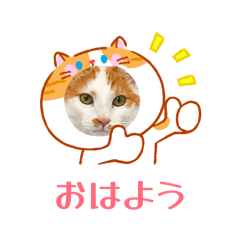 hirunekonomori_20260228141623
