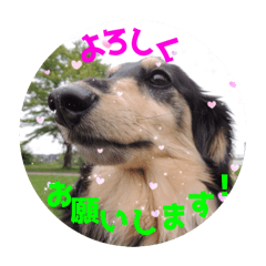 AICHAN80