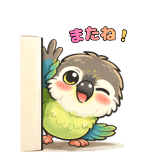Cute Parakeet Life