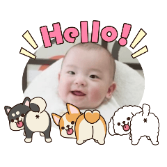 aja_20260228150200