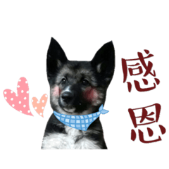 安靜的日常