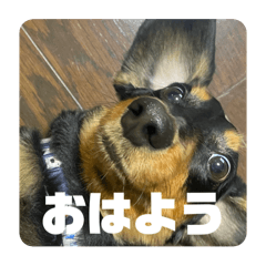 momo_20260227230714