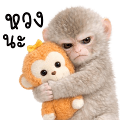 ลิงหิมะ! ตัวตึง