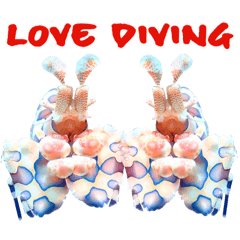 Love diving