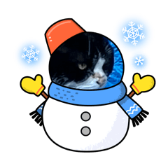 Hinamaru_20260228211742