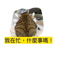 陳家對話2.00