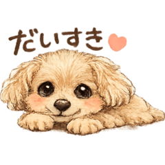 Chiroru Sweet 16 Cuddly Toy Poodle