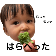 momotarou_20260228174400