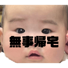rei_20260228174802