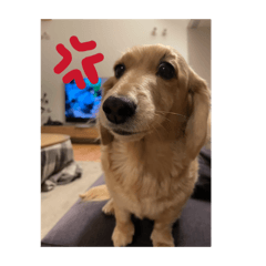 Noooon_20260228222047