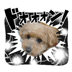 atomu_20260228222318