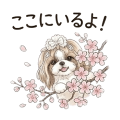 moco.peco_20260228212847