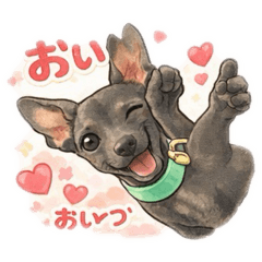 koko_20260228230814