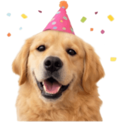 แสนดีโกลเด้น