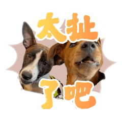 黑白糖粿姐妹花