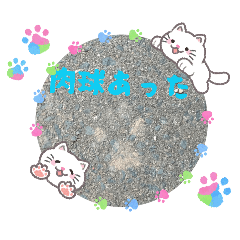 yuzuki_20260225195257