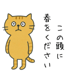 なんか言いたげな猫