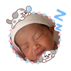 risa_20260228192446