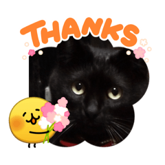 moriko_20260228192844