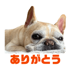 Ayumi_20260228230147