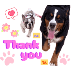 hinamaru_20260301021454