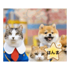 merumyu_20260301102808